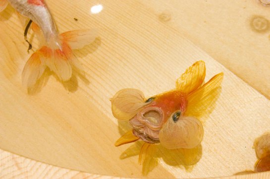 3D-goldfish-4